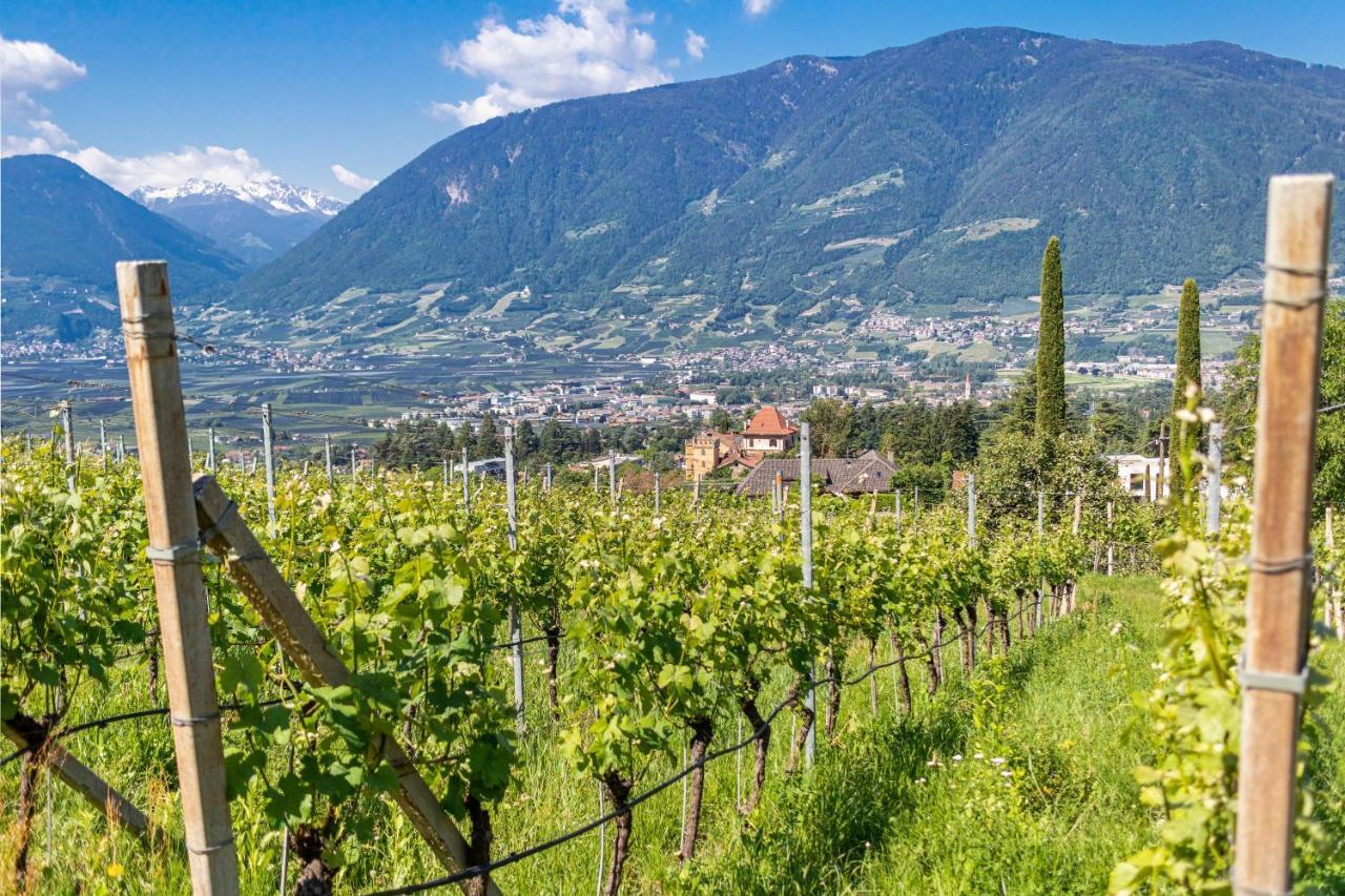 Ferienwohnung Pinot Merano Exteriér fotografie