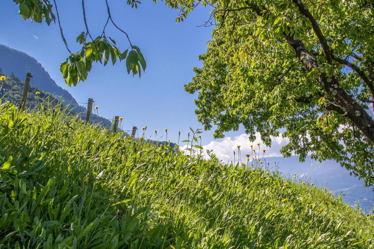 Ferienwohnung Pinot Merano Exteriér fotografie