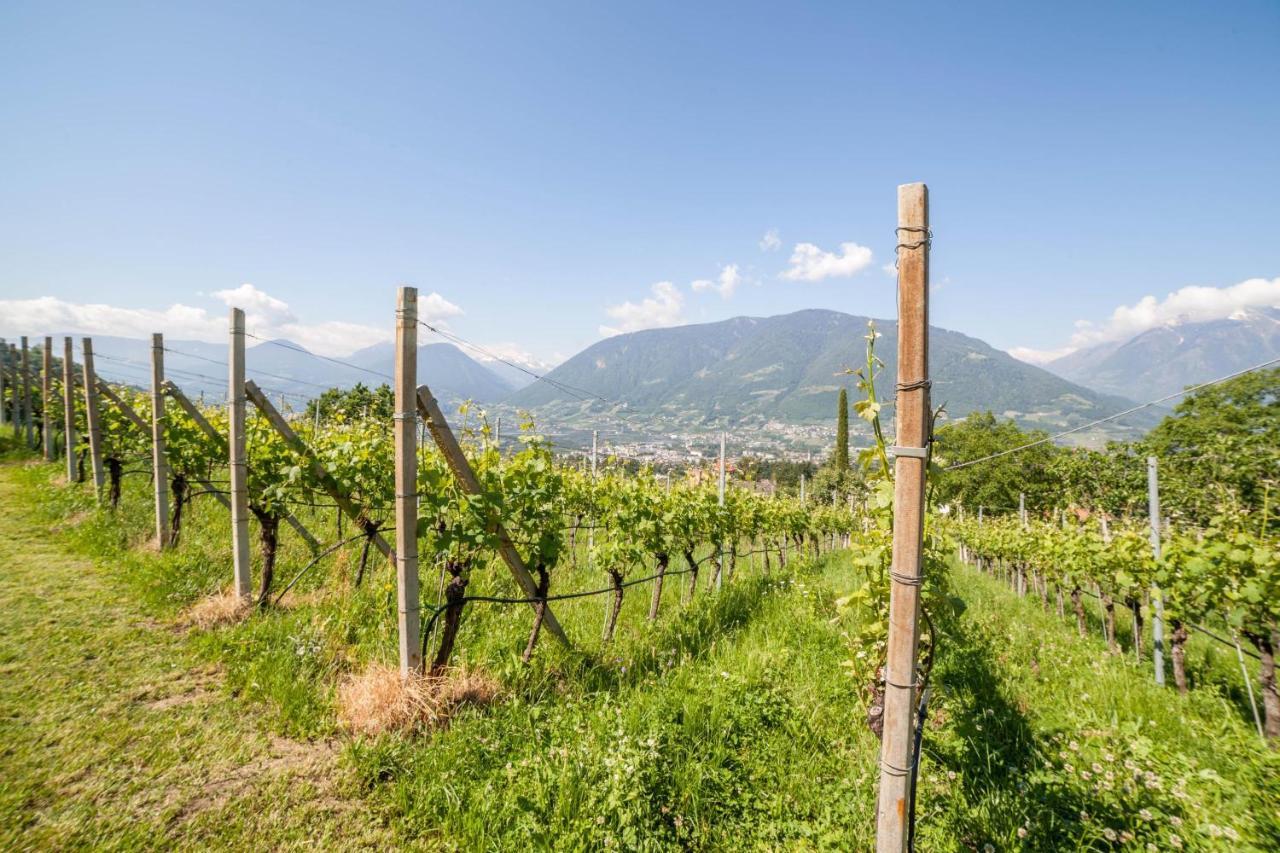 Ferienwohnung Pinot Merano Exteriér fotografie